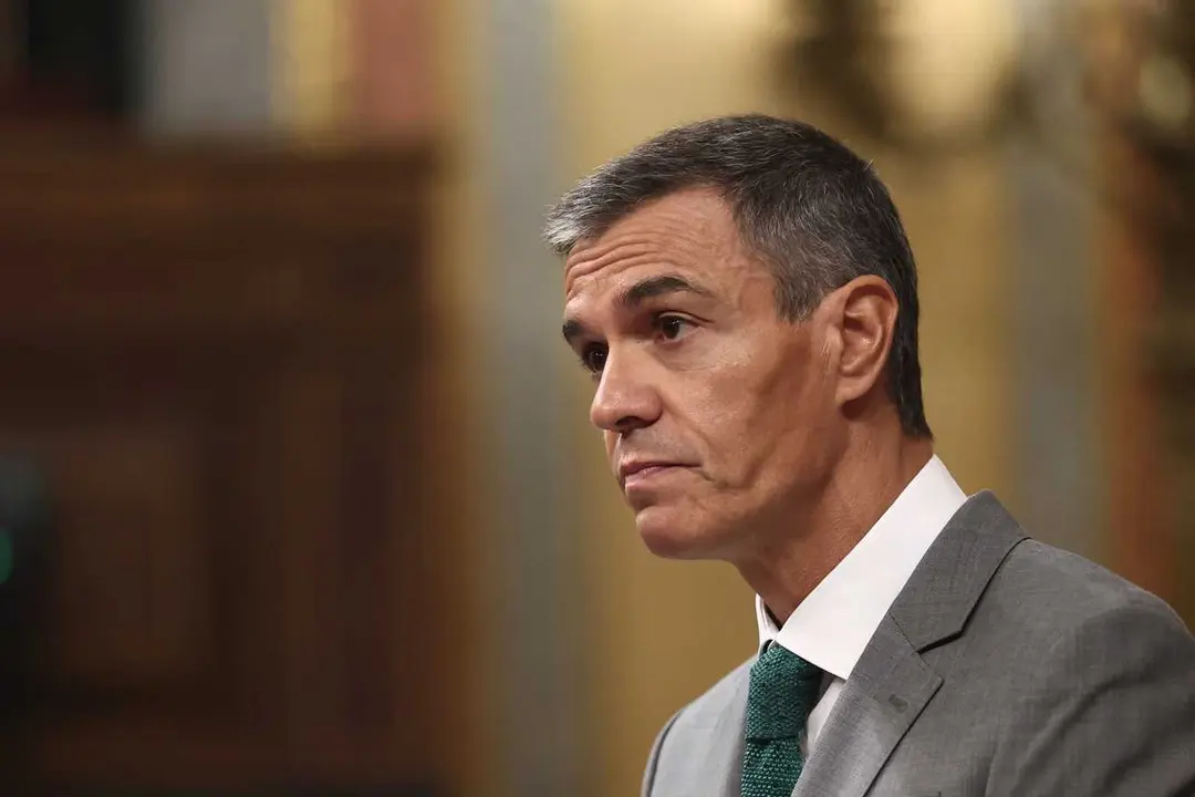 El presidente del Gobierno, Pedro S&aacute;nchez