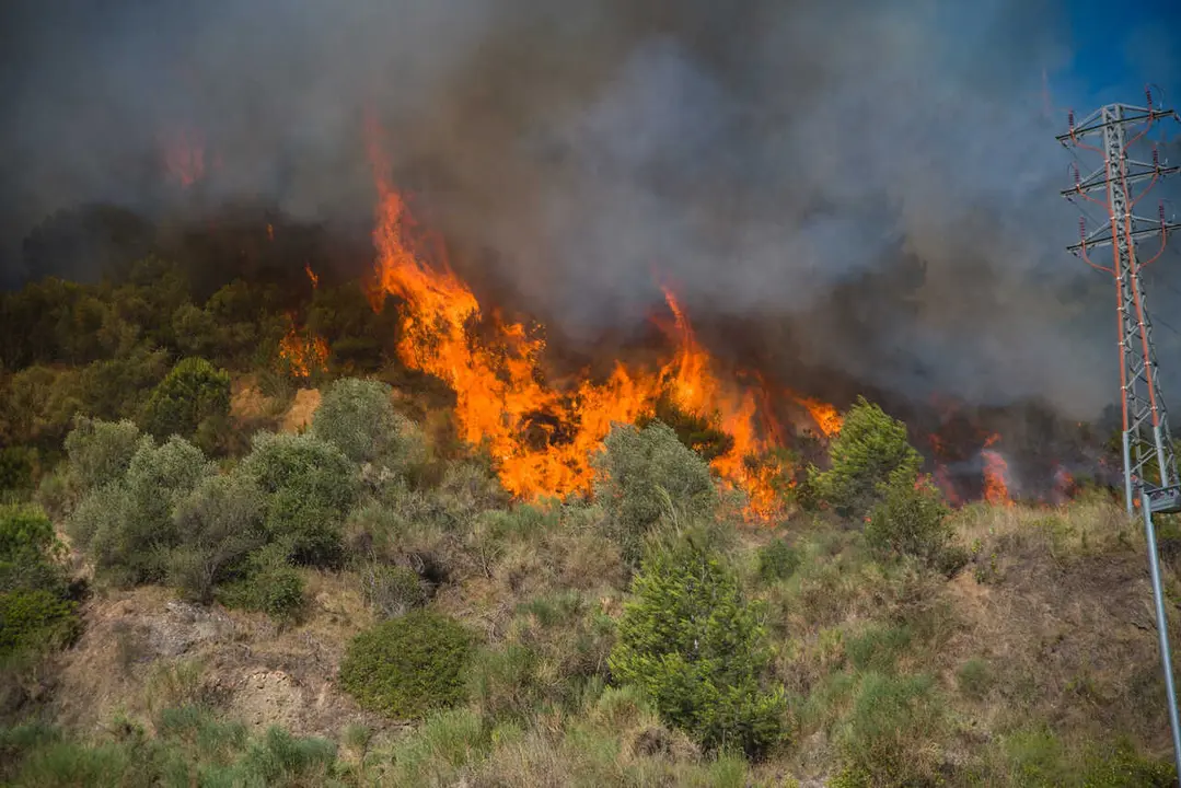Archivo - El fuego cont&iacute;nua en las inmediaciones del pol&iacute;gono del Congost en Martorell, a 14 de julio de 2021, en Martorell, Barcelona, Catalunya (Espa&ntilde;a). 
