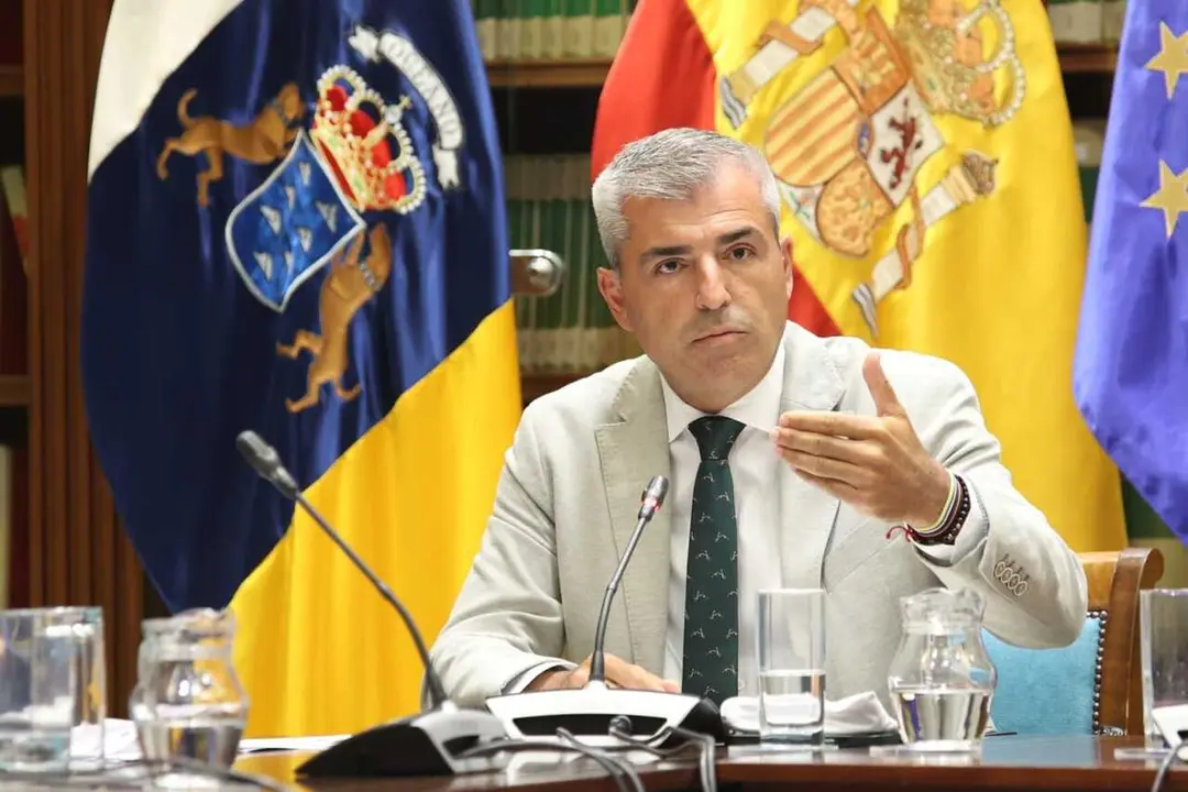El vicepresidente de Canarias, Manuel Dom&iacute;nguez, en comisi&oacute;n parlamentaria