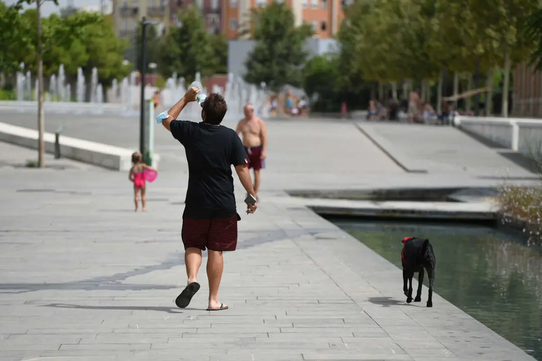 Archivo - Un hombre pasea con su perro en el Parc Central, a 12 de agosto de 2021, en Valencia, Comunidad Valenciana (Espa&ntilde;a). 