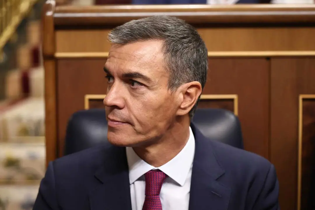 El presidente del Gobierno, Pedro S&aacute;nchez, a su llegada a una sesi&oacute;n plenaria en el Congreso de los Diputados.