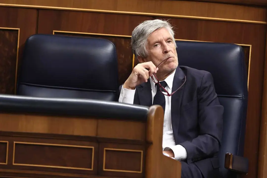 El ministro del Interior, Fernando Grande-Marlaska, durante una sesi&oacute;n plenaria en el Congreso de los Diputados