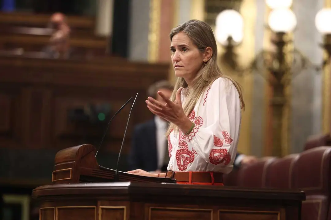 La vicepresidenta tercera del Gobierno y ministra para la Transici&oacute;n Ecol&oacute;gica y el Reto Demogr&aacute;fico, Sara Aagesen, interviene durante una sesi&oacute;n plenaria en el Congreso de los Diputados, a 9 de septiembre de 2026, en Madrid (Espa&ntilde;a). 