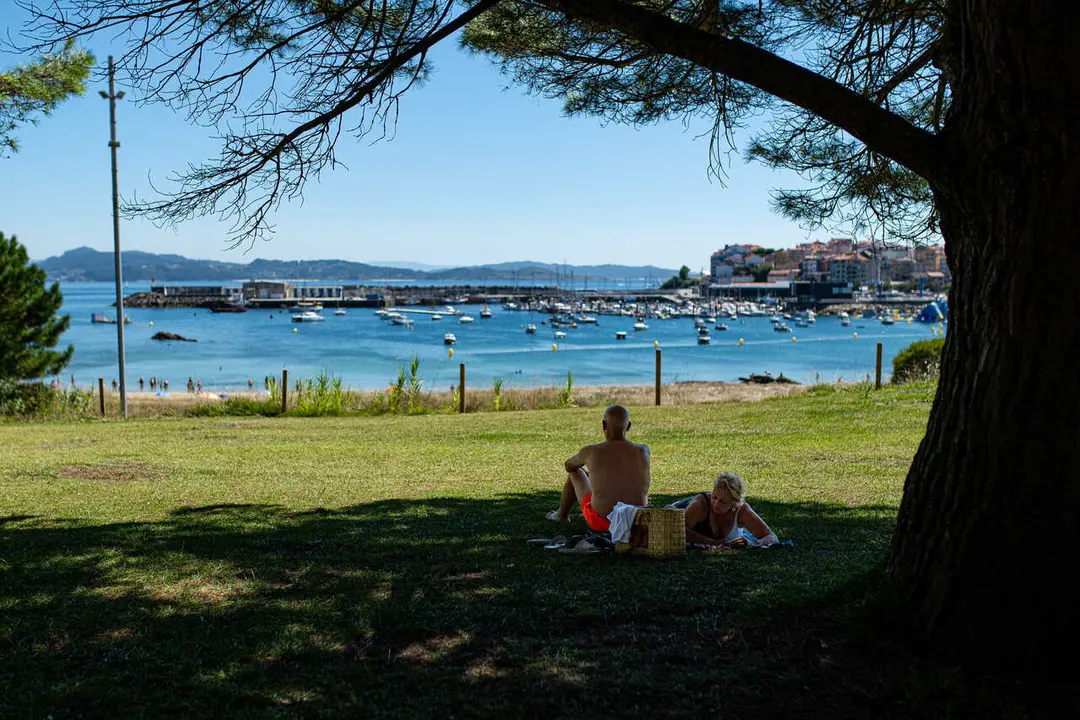 Archivo - Varias personas se refugian del sol bajo un &aacute;rbol, a 7 de agosto de 2023, en Pontevedra, Galicia (Espa&ntilde;a). amarillo estar&aacute; vigente en pr&aacute;cticamente todo el pa&iacute;s incluida zonas costeras como las R&iacute;as Baixas.