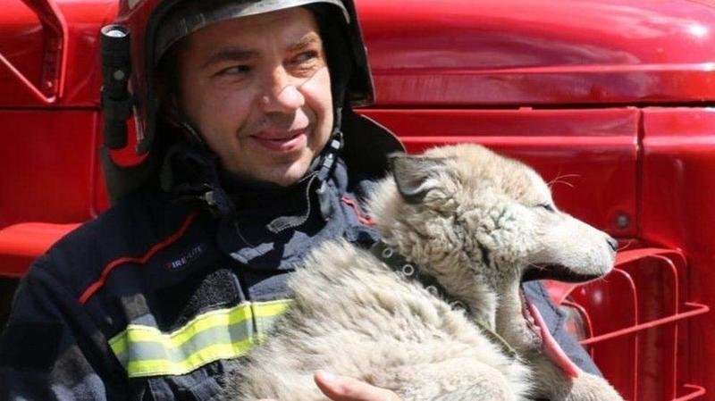 <p> Un bombero ucraniano colaborando en un rescate de Zoopatrul Ukraine </p>