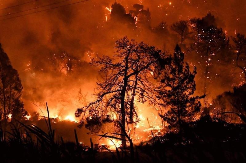 <p> Imagen de un incendio forestal en España - EP </p>