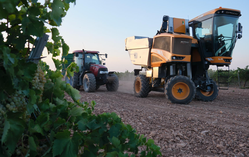<p> Una vendimiadora y un tractor durante la vendimia de la uva Sauvignon Blanc, a 25 de agosto de 2022, en Manzanares, Ciudad Real, Castilla La-Mancha - Rey Sotolongo - Europa Press </p>