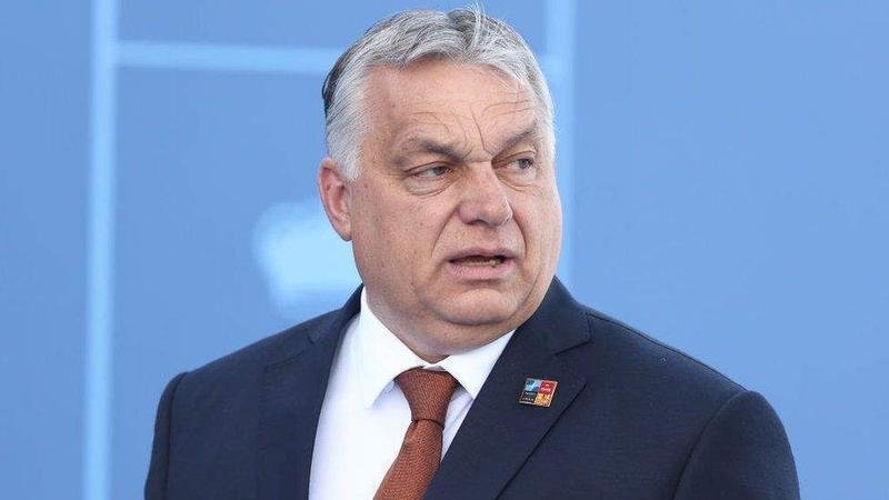 <p> Viktor Orban, primer ministro de Hungría </p>