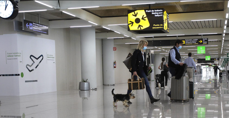  Viajeros internacionales a su llegada al aeropuerto de Palma de Mallorca. - Isaac Buj - Europa Press 