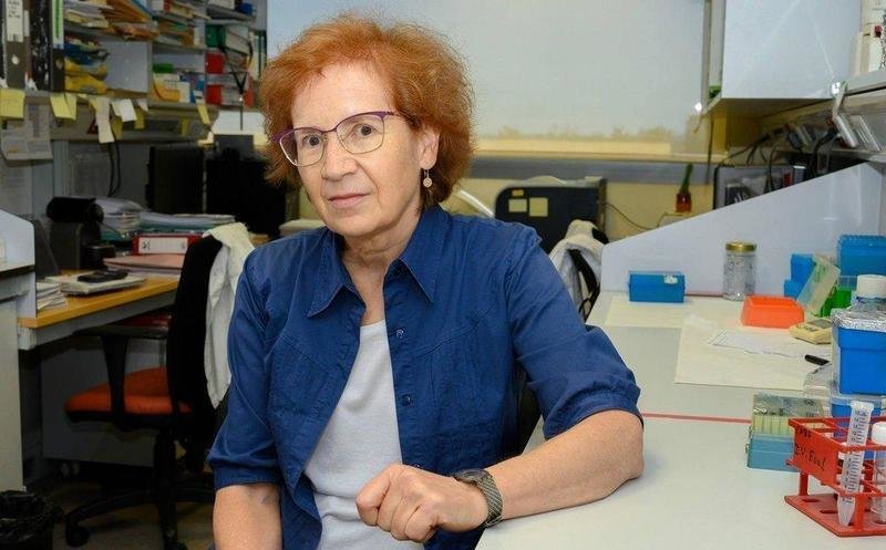  La viróloga e inmunóloga española Margarita del Val - Facebook - CSIC 