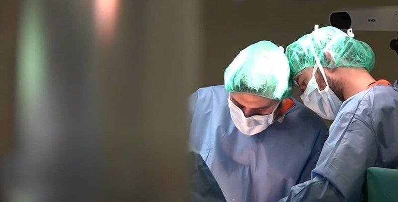  El Hospital Gregorio Marañón desarrolla una terapia celular para evitar el rechazo de trasplante de órganos - HOSPITAL GREGORIO MARAÑÓN 