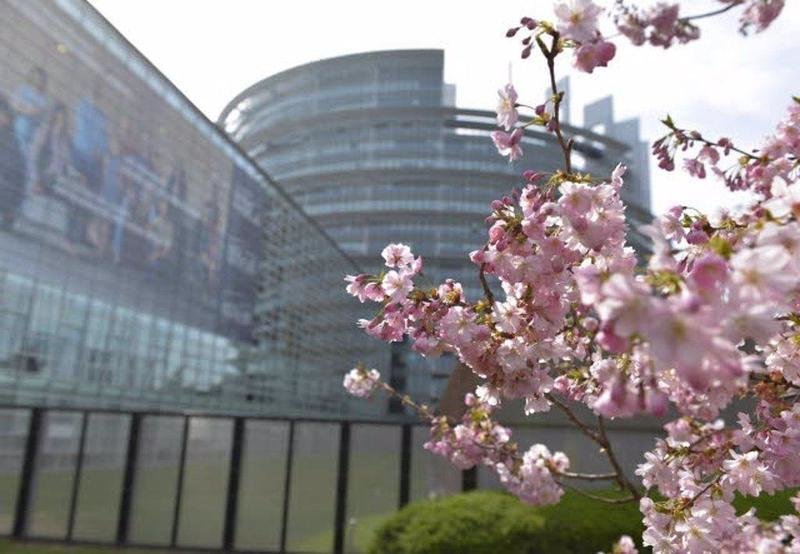 14-04-2014 Sede del Parlamento Europeo en Estrasburgo.
SOCIEDAD ESPA√ëA EUROPA
PARLAMENTO EUROPEO
