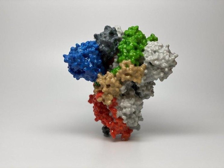  Archivo - Recreación 3D de la proteína spike del virus SARS-CoV-2./ National Institute of Allergy and Infectious Diseases (NIAID) - NIAID - Archivo 