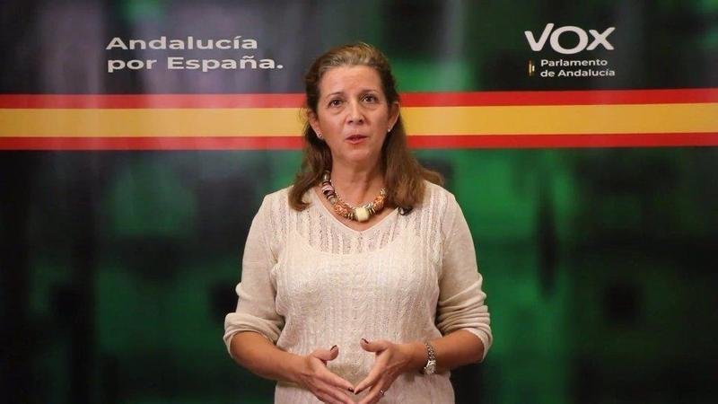  La portavoz de Vox en la comisión parlamentaria de Salud y Familias, María José Piñero. - VOX 