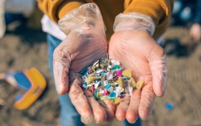<p> Captoplastic en su iniciativa de recogida de microplásticos - FUNDACIÓN EVERIS </p>