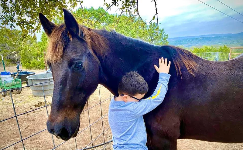 <p> Un niño con discapacidad abraza a un caballo rescatado. Imagen SAFE </p>