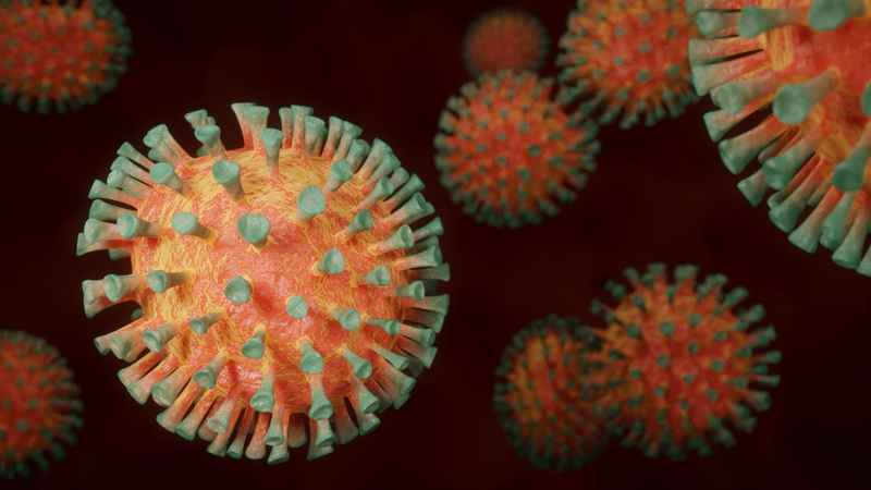 <p> Los materiales han sido eficaces con los virus de la covid-19, de la gripe, del herpes simple y con adenovirus. - CSIC </p>