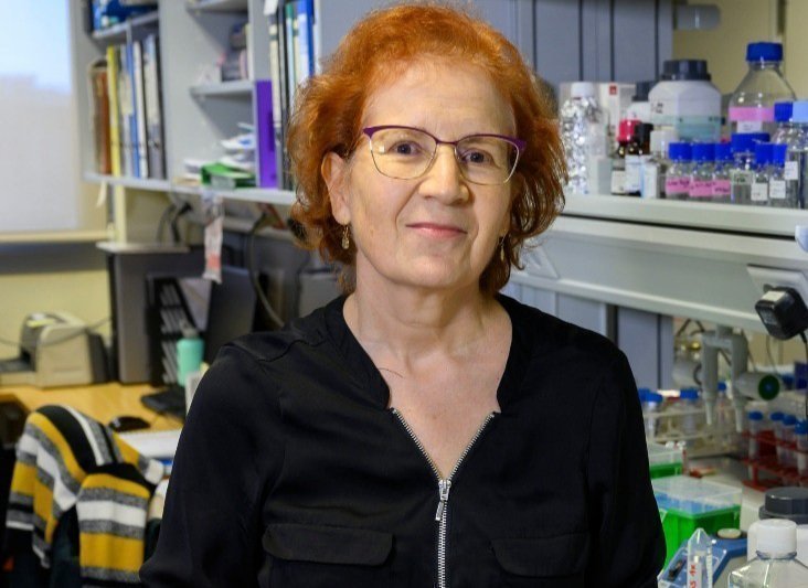 <p> Margarita del Val, viróloga e inmunóloga del Consejo Superior de Investigaciones Científicas (CSIC). </p>