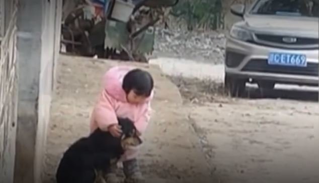 <p> niña protege a su perro de los fuegos artificiales </p>
