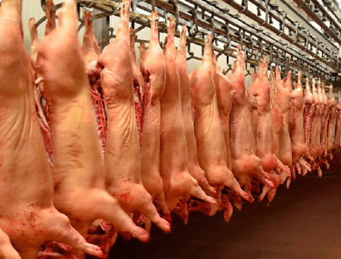 <p> Almacenamiento de carne porcina. - Fotografía: blog.argapor.com </p>