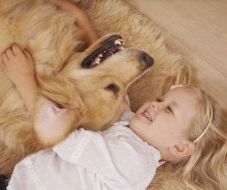 <p> científicos confirman que los perros reducen el estrés de los más pequeños y les ayudan a crecer con mayor soporte emocional </p>