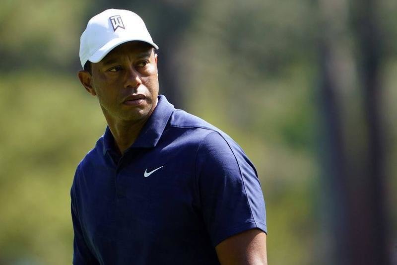 <p> El Golfista, Tiger Woods </p>