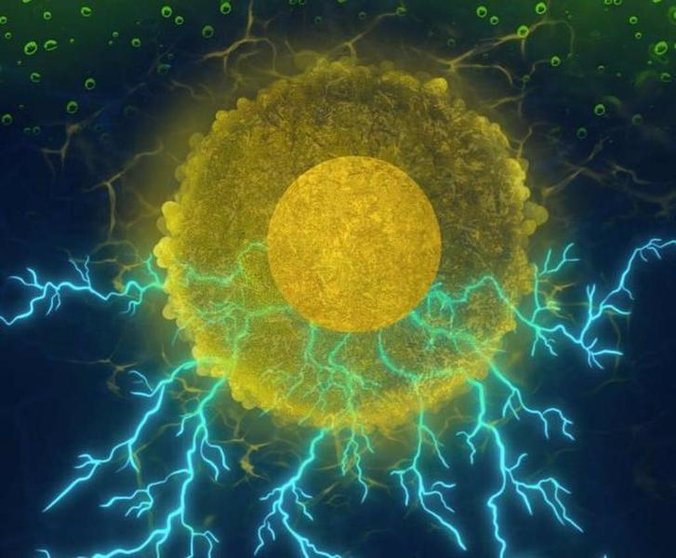 <p> En esta ilustración, el combustible verde (alcohol) está representado por las gotas de color verde en la parte superior de la imagen, que al interactuar con las nanopartículas de oro envueltas en curcumina, producen energía de manera eficiente . - LAKSHMAN VENTRAPRAGADA AND SRI SAI PRASAD NAYAK </p>