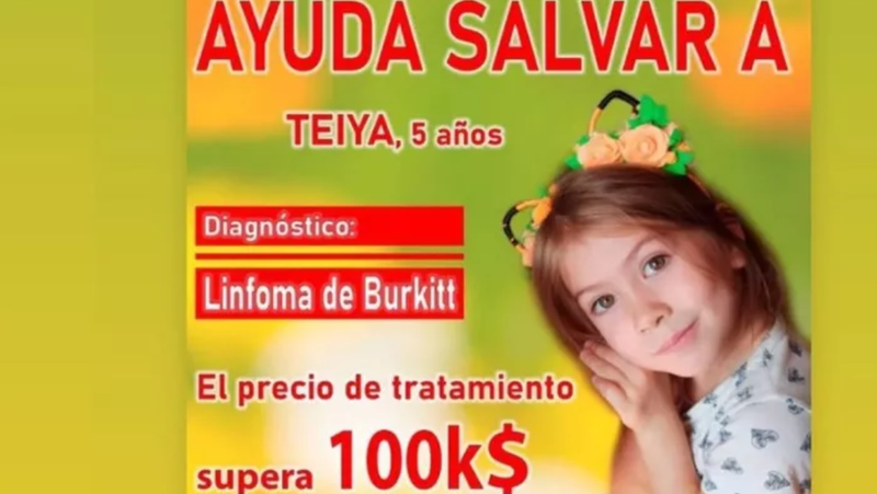 <p> Cartel de la campaña para ayudar a Teiya, niña con cáncer de médula ósea, en un crowdfunding. Fuente: Go Fund Me </p>