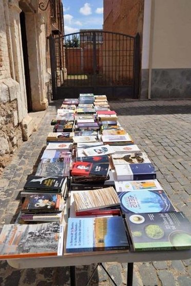<p> Imagen del Mercado de Libros celebrado en la explanada del Palacio de la Clavería de Aldea del Rey </p>