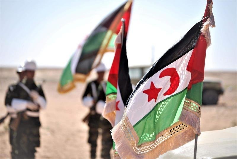 <p> Banderas de la autoproclamada República Árabe Saharaui Democrática </p>