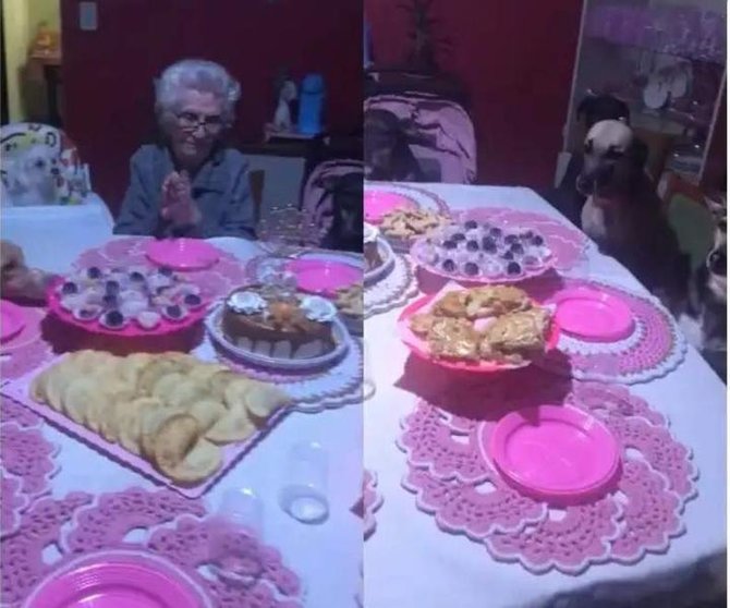 <p> Abuela celebrando su cumpleaños junto a sus perros - Captura de pantalla </p>