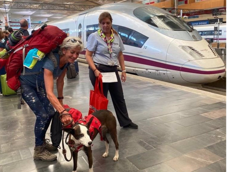<p> Una perrita de tres años, la primera mascota de hasta 40 kilos que viaja en un AVE desde Zaragoza-Delicias - RENFE </p>