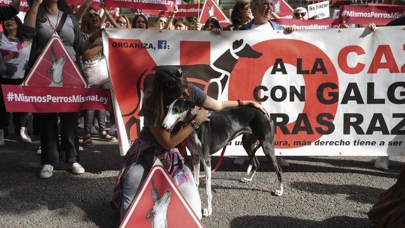 <p> Protesta de los animalistas por los perros de caza </p>