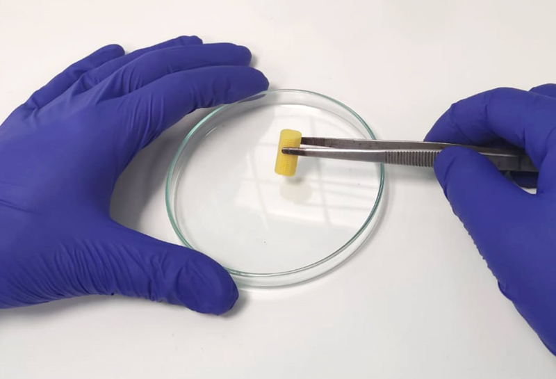  Investigadores de la UCV desarrollan un nuevo biomaterial capaz de regenerar huesos - UCV 