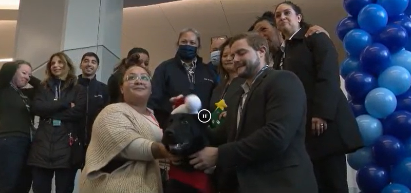  Imagen de la celebración por la adopción de Polaris en el aeropuerto de San Francisco 