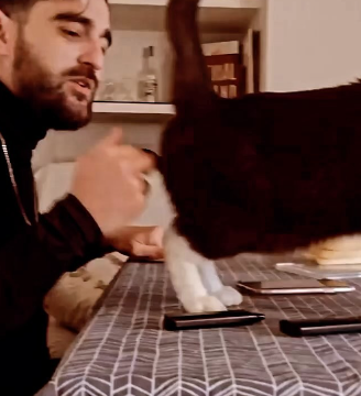  Rafa Blanes con su gato zapateando 