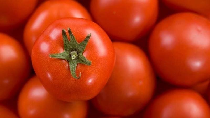  El tomate es uno de los productos más demandados del verano en Andalucía 
