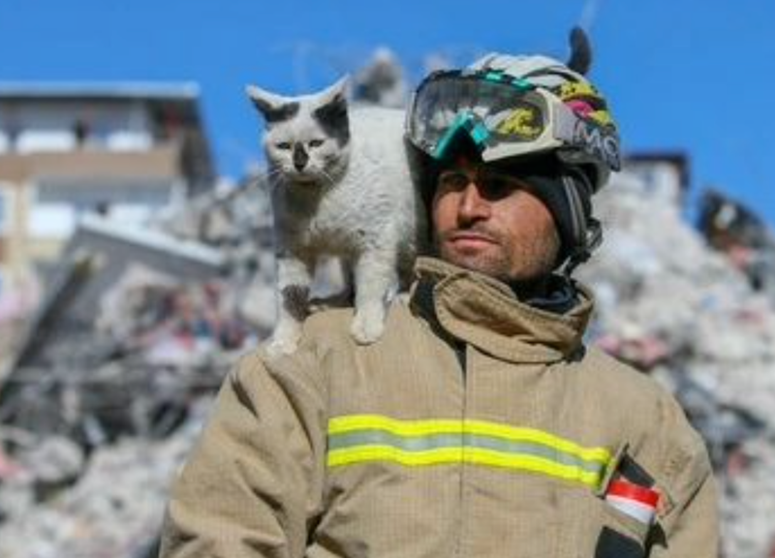  El bombero justo al gatito rescatado 