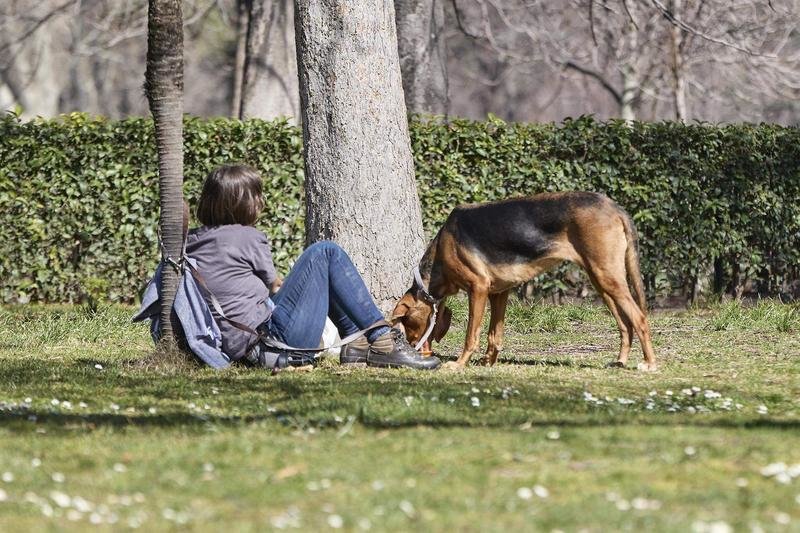  Una mujer junto a un perro en el Parque del Retiro, a 11 de marzo de 2023 