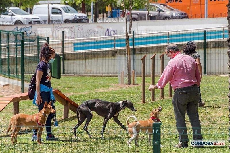  Perros con sus dueños en el parque canino de Vial Norte | Pilar Gázquez. 