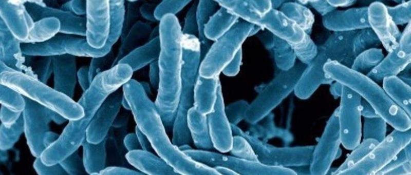  la tuberculosis sigue siendo investigada para evitar su rebrote. 