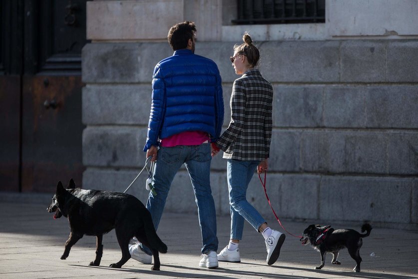  Una pareja pasea a los perros en Madrid. - Joaquin Corchero / Europa Press 