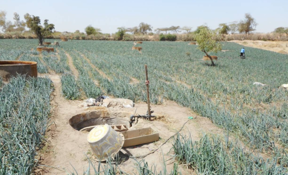  Imagen del caso de estudio en el Sahel 