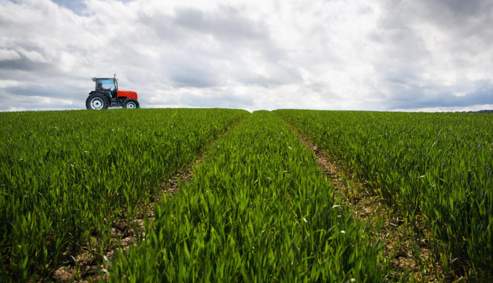  Archivo - Cepsa y el CSIC estudian desarrollo de cultivos energéticos de cobertura en zonas rurales para producir biocombustibles - CEPSA - Archivo 