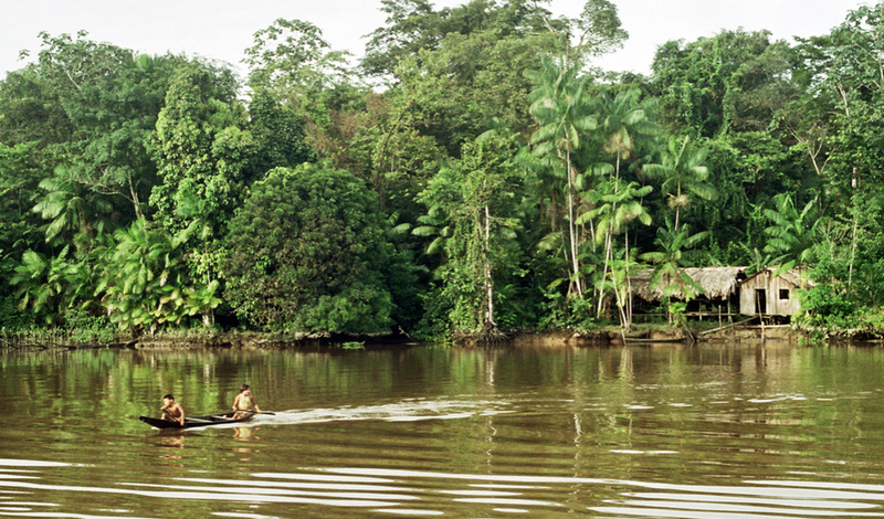  Amazonas. WIKIPEDIA 