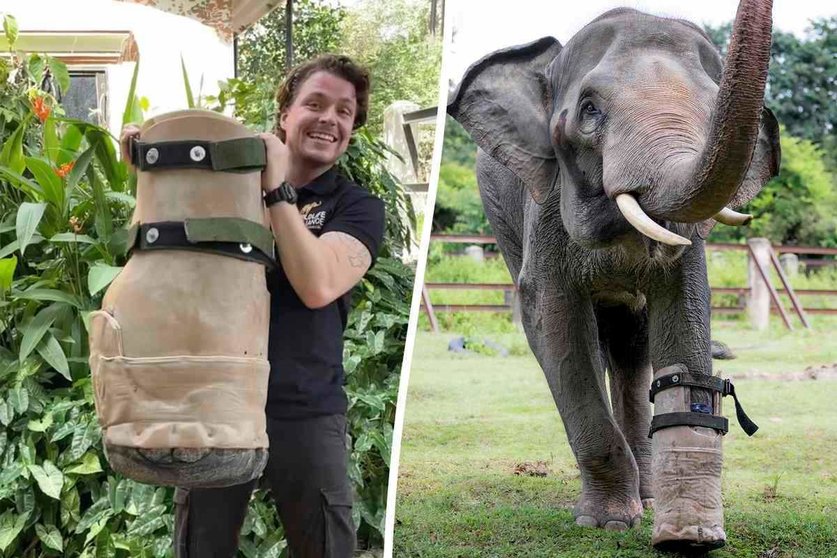  Cam y el elefante Chhouk con su prótesis 