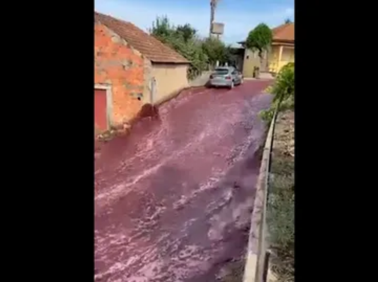 Vino tinto inundando las calles de un pueblo en Portugal 