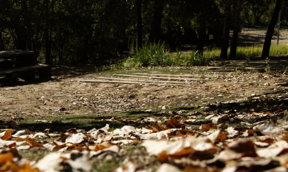  El mes de otoño sigue con temperaturas de verano en el Parque de Las Moreras de Valladolid. - DAVID MATOS/EUROPA PRESS 