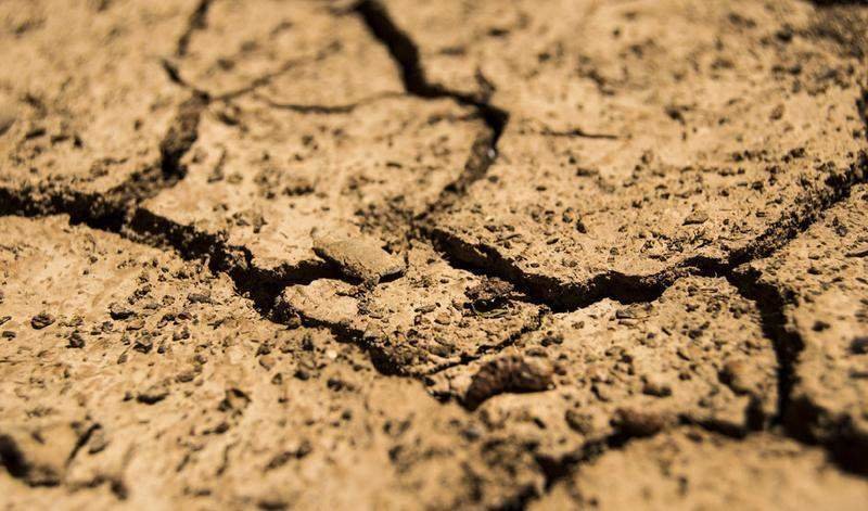  El cambio climático produce más frecuentes, prolongados e intensos periodos de sequía. 
