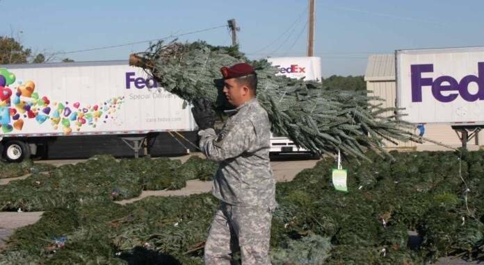  Soldados repartiendo árboles de Navidad 